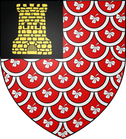 Ramoneur Fouilleuse