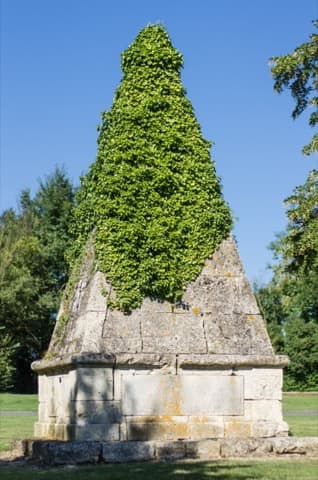 Ramoneur Gournay-sur-Aronde